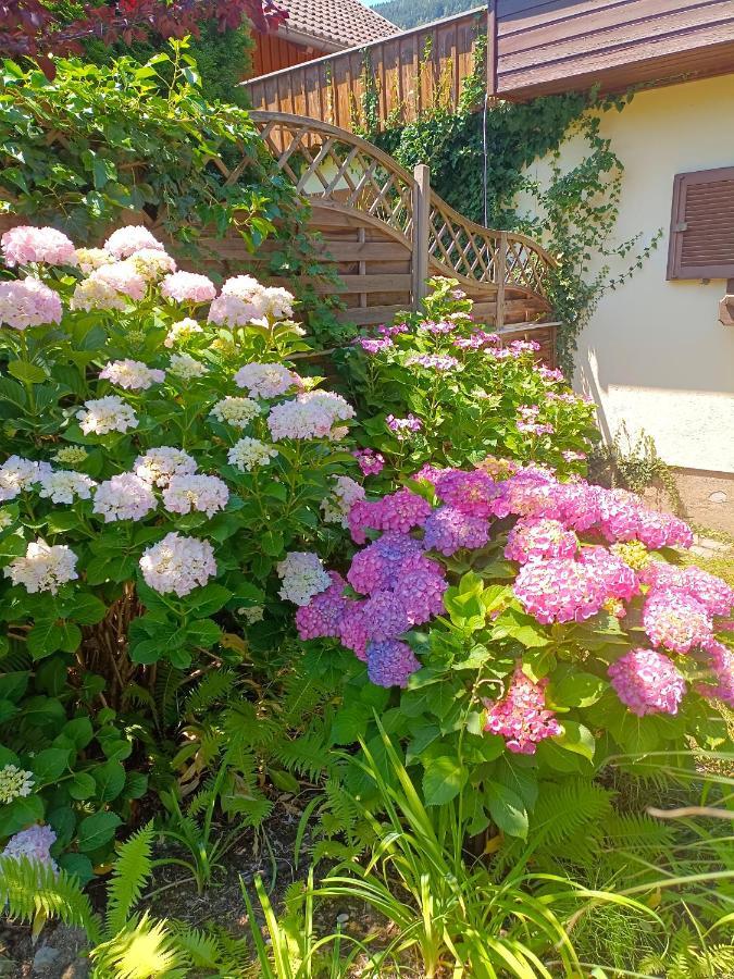 Haus Flora - Ferienwohnung Боденсдорф Экстерьер фото