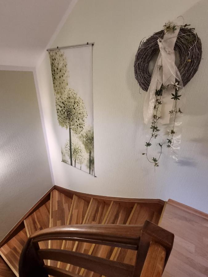 Haus Flora - Ferienwohnung Боденсдорф Экстерьер фото