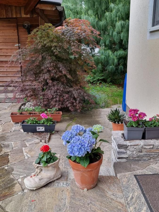 Haus Flora - Ferienwohnung Боденсдорф Экстерьер фото